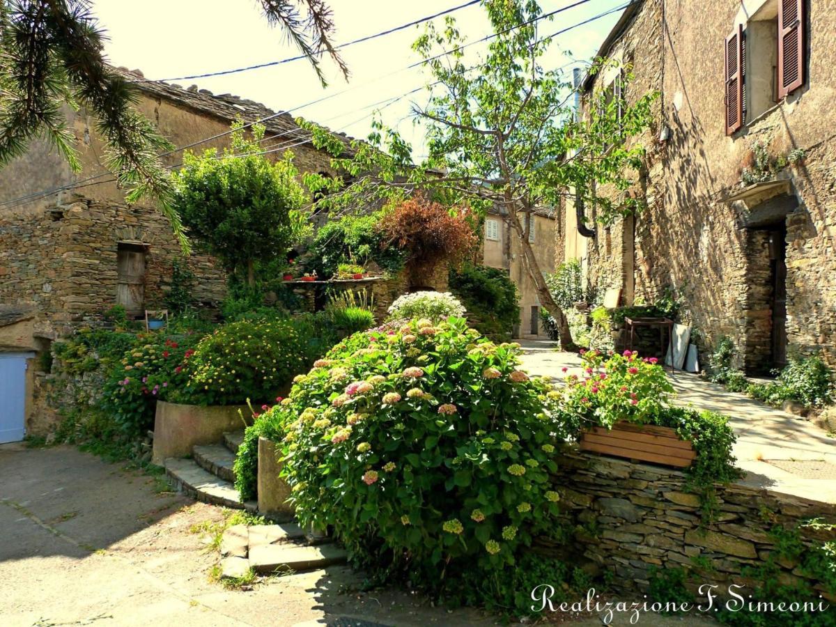 Tres Jolie Maison Aux Portes Du Cap Corse Sisco Exterior foto