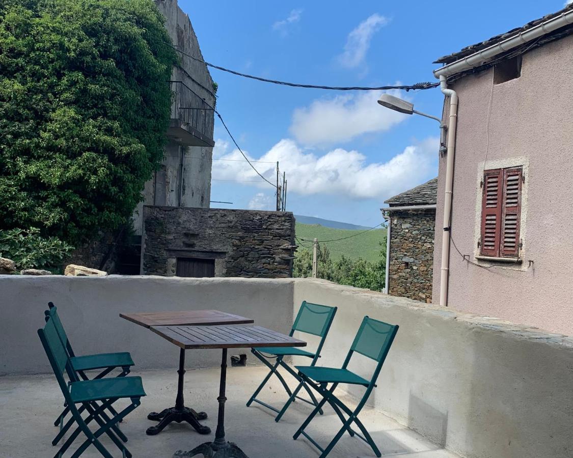 Tres Jolie Maison Aux Portes Du Cap Corse Sisco Exterior foto